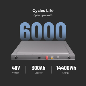 แบตเตอรี่โซลิดสเตต15kWh 300Ah wiren W48300 48V | 6000รอบ | ความปลอดภัยสูง | -20 ~ 60 | oM/odm - Product Image 6