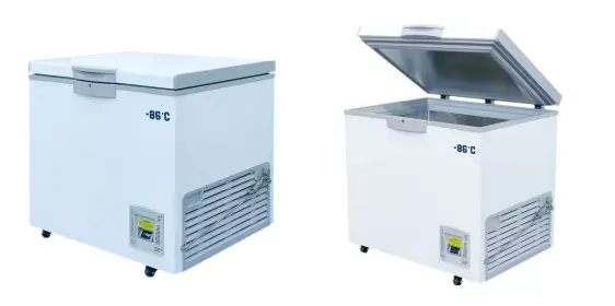 Refrigerador vertical industrial de aço inoxidável do congelador comercial do bom preço
