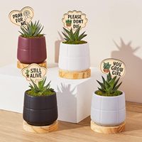 15 pièces marqueurs de plantes en bois drôles personnalisés pour fleurs succulentes plantes de verdure étiquettes imperméables étiquettes de plantes en bois extérieur intérieur