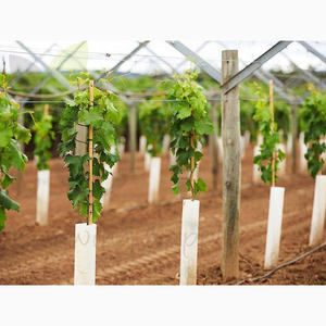 Láminas de Plástico Corrugado PP Duraderas y Estables para Protectores de Árboles, con Servicio de Corte, Tamaño Personalizado, Grosor de 1.5-6 mm - Product Image 4