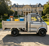 Camionnette électrique mini 3000W certifiée CE, véhicule utilitaire électrique 4 roues, véhicule à énergie nouvelle avec cabine fermée pour adultes