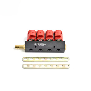 Kit de Conversión de Combustible de Gasolina a Gas para Vehículos LPG/CNG, 2/3 Ohmios, 4 Cilindros, Rojo, Unidad de Control de Riel de Combustible, Ajuste Universal para Modelos de Automóviles Estándar - Product Image 3