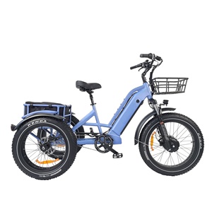 Triciclo eléctrico de neumático grueso, bicicleta eléctrica de 3 ruedas, triciclo de tres ruedas, triciclo eléctrico de carga para adultos para pasajeros con asiento trasero - Product Image 2