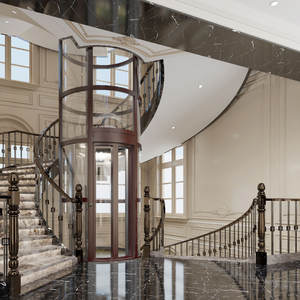 Lift Lift rumah tinggal untuk vila kecil desain tanpa Pitless untuk bagian dalam dan luar rumah menggunakan selang Lift pabrik - Product Image 4