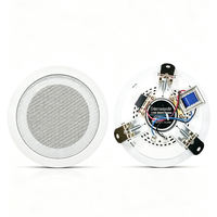 Haut-parleur encastré au plafond, pleine gamme 90-16000Hz, son pour hôtel, centre commercial, restaurant, école, musique d'ambiance publique