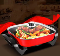 Marmite Électrique en Aluminium, Pot de Cuisson Multifonction, Réchaud Alimentaire Antiadhésif, Plat à Réchaud, Poêle, Wok et Poêle à Frire
