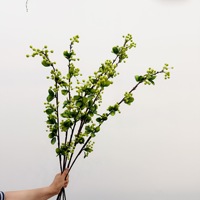 Begoniafruit met bladeren, kleine fruitjes met lange steel, miniatuurappel, tafeldecoratie voor thuis, gastenverblijf en showroom