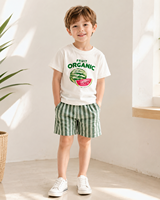 Nouvel ensemble d'été 2026 pour garçons, imprimé pastèque, t-shirt 100 % coton et short rayé vert, tenue décontractée mignonne 2 pièces pour enfants, vente en gros OEM