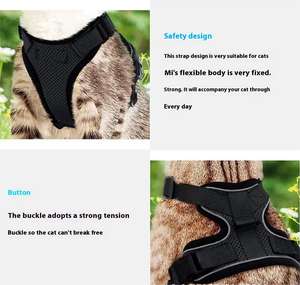 Collier et laisse pour animaux de compagnie, chiens et chats, réglable en été, laisse de marche ultra-fine, couleur et taille personnalisables - Product Image 5