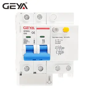 GEYA DZ47LE 2P 6A a 63A interruttore di corrente residuo con protezione da sovracorrente approvazione RCBO CE