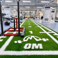 Tapis de sol en plastique à motifs personnalisés pour gymnases, clôtures de chantier et gazon mural pour les jardins d'enfants