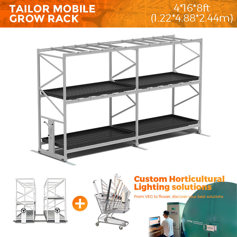 ขนาด: 4*16 * 8FT (1.22*4.88*2.44ม.)
