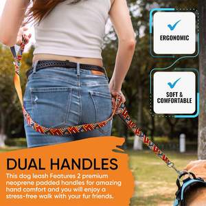 PawPawify Heavy Duty Long Nylon con dos asas acolchadas [6 pies] Hebilla de cuello de bloqueo automático Cómodo mango de control de tráfico - Product Image 4