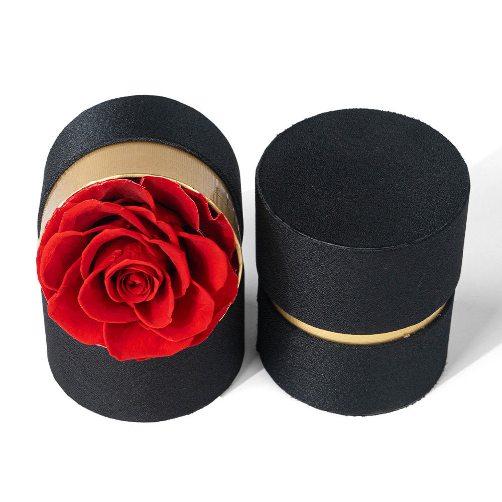 Canon simple Phnom Penh - Canon noir et blanc