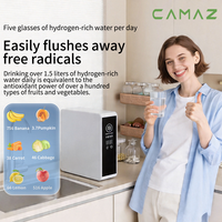 Purificateur d'eau riche en hydrogène CAMAZ Electric 400G 1200G en acier inoxydable pour comptoir, filtration 0,0001 micron, 80L/H, extérieur