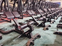 Salle de sport à usage commercial Entraîneur musculaire abdominal réglable à 45 degrés Banc d'exercice d'extension du dos hyper chaise romaine