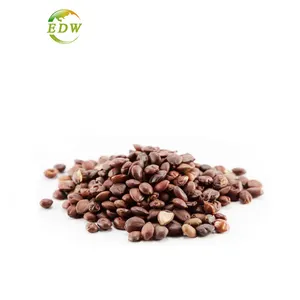 Factory Supply Wild Jujube Ziziphi Seed Extract Spina Date Seed Extract Powder Jujuboside