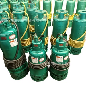 ปั๊มทรายใต้น้ำแบบป้องกันการระเบิดสำหรับงานเหมือง Bqs200-60-55kw กำลังไฟฟ้า 5 แรงม้า แบบแรงเหวี่ยง สำหรับอุตสาหกรรมเหมืองแร่ - Product Image 4