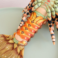 Peluche réaliste de homard australien, super douce, animal en peluche océanique, couverture réconfortante, cadeau amusant pour les fêtes