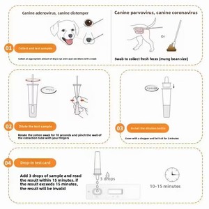 Elider Hunde-Morchel-Teststreifen für Hunde und Katzen zur äußerlichen Anwendung – <span class=keywords><strong>Test</strong></span> auf Coronavirus, Naseninfektion, Peritonitis und Hundestaupe - Product Image 4