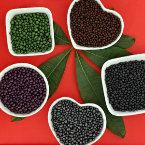 Engrais professionnel pour pelouse et gazon NPK 28-5-5 à haute teneur en azote avec technologie d'embellissement améliorée et <span class=keywords><strong>formule</strong></span> à libération contrôlée - Product Image 5