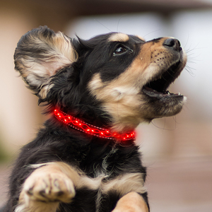 Suave recargable LED perro y gato <span class=keywords><strong>Collar</strong></span> Durable poliéster alta visibilidad bordado arte cuerda diseño estilo clásico patrón sólido - Product Image 3