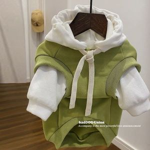 캐주얼 개 까마귀 가을과 겨울 방학 2 대조 색상 까마귀 몰타 요크셔 테디 Bichbear Schnitzer 옷 - Product Image 6