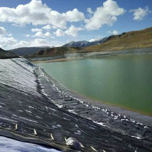 แผ่นเมมเบรนกันน้ำ HDPE เสริมแรงสำหรับอุตสาหกรรม ความหนา 1.0-3.0 มม. ได้รับการรับรองมาตรฐาน CE/ISO9001 สำหรับถังเก็บน้ำและบ่อเลี้ยง<span class=keywords><strong>ปลา</strong></span> - Product Image 2