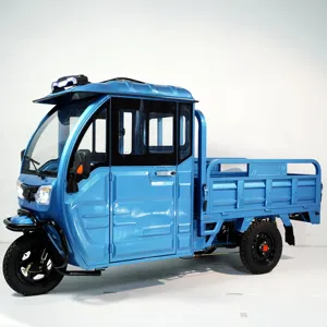 EEC COC E Trike Semi Closed Electric Tricycle Cabin with Doors Electric Dreirad