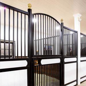 TLWY pabrik langsung Eropa Stan kuda stabil OEM disesuaikan penjualan kereta kuda murah - Product Image 5