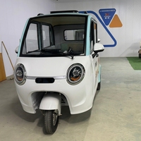 Voiture électrique mini polyvalente, sièges arrière pliables rapidement, feux arrière LED, moteur 50 kW, batterie lithium-ion, autonomie 101-200 km, couleur personnalisée