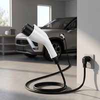 Câble de recharge portable pour VE 3,3 kW 220 V 16 A, cordon de charge 3 m universel pour véhicules à énergie nouvelle