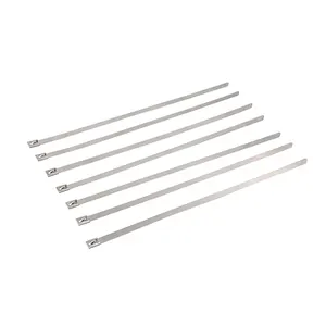 4.6x200MM 201material stainless steel zip cable tie