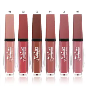 Pabrik grosir 6 warna matte lip gloss label pribadi tahan lama tahan air Matte lipstik cair