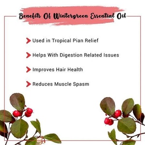 Les fournisseurs d'huiles essentielles fournissent 100% d'huiles essentielles naturelles pures biologiques pour l'aromathérapie Huile essentielle naturelle Wintergreen en vrac - Product Image 4