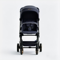 Poussette de voyage pour bébé Weilebao Chine, haute qualité, alliage d'aluminium léger, petite taille, capacité de charge de 15 kg, pour avion