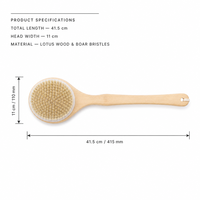 Brosse de bain à long manche en bois de lotus, poils de sanglier naturels, exfoliante pour le corps, utilisable à sec ou sous la douche, brosse de massage, logo personnalisé disponible