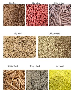 Máy ép viên mini năng suất cao, máy chế biến thức ăn viên kim loại mới dùng cho chăn nuôi quy mô nhỏ - Product Image 6