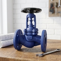 Vanne à soupape à soufflet DIN GGG40 PN16 PN25 Vanne à soupape à soufflet étanche pour vapeur, huile, eau