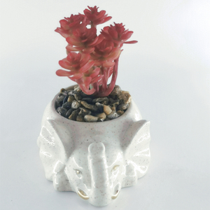Venta al por mayor 3D único <span class=keywords><strong>gatito</strong></span> elefante flor suculenta <span class=keywords><strong>maceta</strong></span> encantadora Instagram cerámica arcilla cerámica <span class=keywords><strong>maceta</strong></span> gran oferta macetas <span class=keywords><strong>maceta</strong></span> - Product Image 2