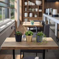 Pots de fleurs suspendus en fer antirouille moderne Ensemble de jardinières 3 pièces avec crochet pour patio salon café Offre Spéciale de décoration pour jardins