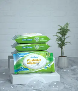 一次性Papel Higienico Humedo成人可冲洗湿巾植物提取物屁股清洁湿卫生纸