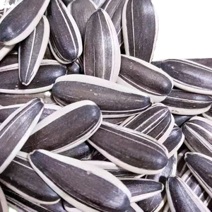 Graines <span class=keywords><strong>de</strong></span> tournesol grillées <span class=keywords><strong>de</strong></span> qualité supérieure |   Vente en gros <span class=keywords><strong>de</strong></span> petits colis - Product Image 1