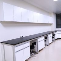Full-featured Traditional Laboratory Lab Side Bench Adjustable Stainless Steel Work Bench