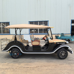 Auto Elettrica Retrò di Lusso Omologata per la Circolazione Stradale, 6-8 Posti, Auto Classica Vintage, Auto VIP di Alta Gamma per Ricevimenti - Product Image 5