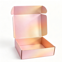 Boîtes d'expédition en carton ondulé écologiques imprimées avec dégradé de couleurs personnalisé, impression de logo, forme d'avion pour chaussures, vêtements, e-commerce