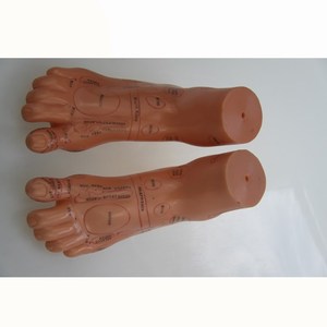 <span class=keywords><strong>Model</strong></span> akupuntur kaki 13CM untuk siswa belajar - Product Image 2