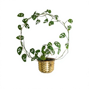 Jardinière au design admirable en métal couleur or jardinière suspendue taille et forme personnalisées jardinière pour la décoration intérieure - Product Image 1