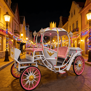 Carrosse de Noël extérieur éclairé par LED, carrosse de cheval lumineux pour Noël, décoration de carrosse de cheval grandeur nature - Product Image 5