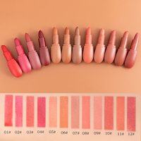 Rouge à lèvres mat velours nourrissant, waterproof, longue tenue, pigment riche, 12 teintes, OEM ODM, étiquette privée, logo personnalisé, vente en gros